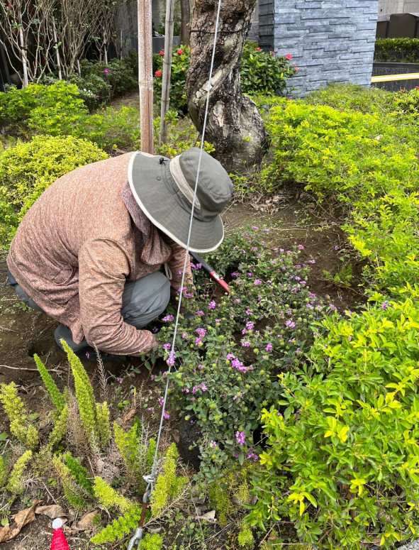 高雄社區植栽補植