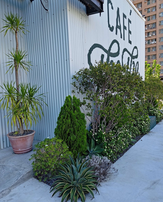 店面植栽維護修剪