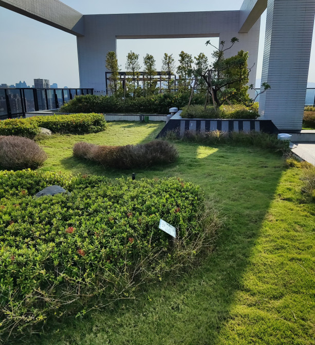 高雄高鐵社區園藝維養