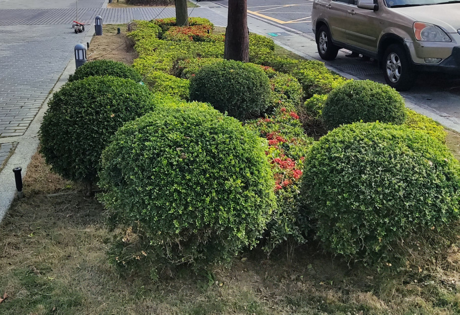 社區園藝維養專門行業